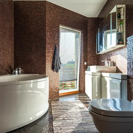 Cozy, Private Sauna House In Apartment Parnu